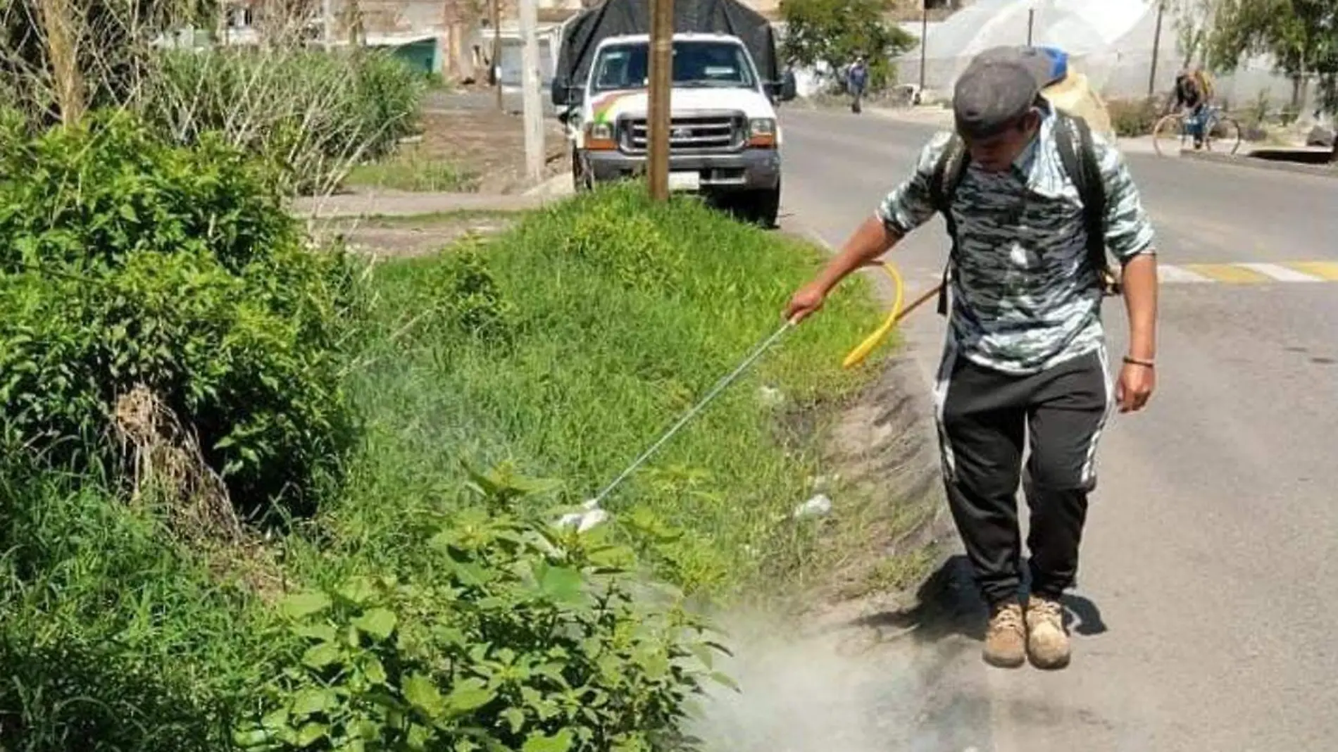 dengue en huauchinango